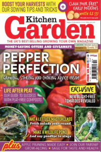 Kitchen Garden February 2025