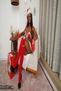 Trans500 Hub I Kill It TS Merry Christmas Havena 4K 20 12 24