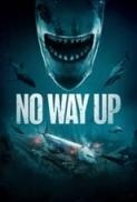 No Way Up 2024 FULLHD 1080p x264 E AC3 AC3 ITA DTS AC3 ENG